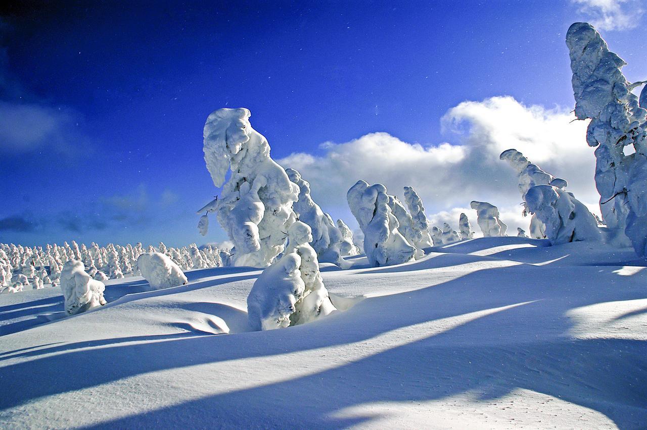 เพนชั่น อองเทรอ-เดอ-แมร์ Bed & Breakfast Hachimantai  ภายนอก รูปภาพ