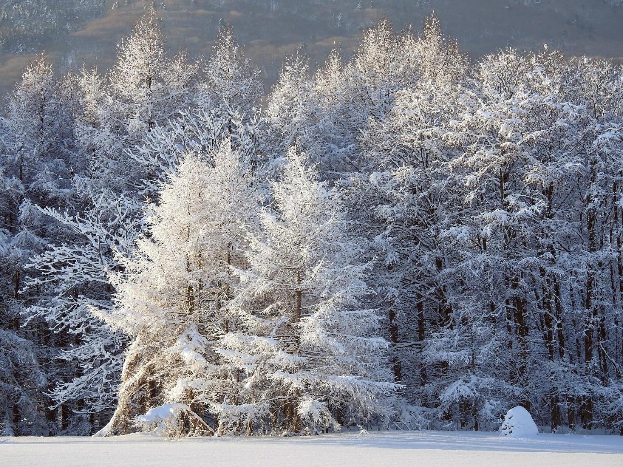 เพนชั่น อองเทรอ-เดอ-แมร์ Bed & Breakfast Hachimantai  ภายนอก รูปภาพ